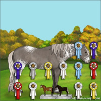 Horse Color:White Spotted Silver Black Sabino 