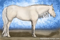 Horse Color:Gold Cream Champagne Pearl