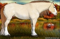 Horse Color:Red Dun Roan Splash Rabicano