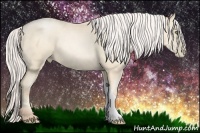 Horse Color:Silver Sable Cream Champagne Pearl