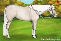 Horse Color:Gold Cream Champagne Pearl 