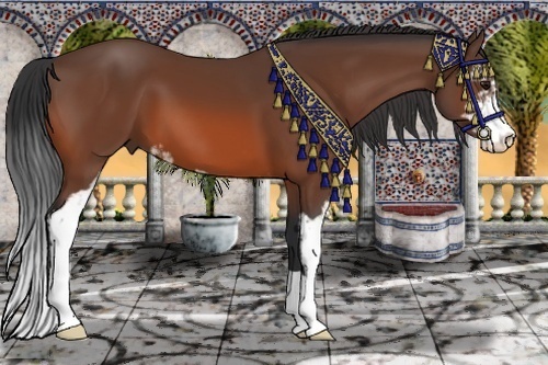 Horse Color:Bay Sabino 