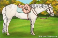 Horse Color:Silver Amber Cream Champagne Roan Pearl