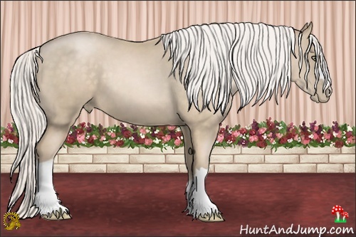 Horse Color:Silver Buckskin Pearl 