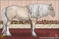 Horse Color:Silver Buckskin Pearl 