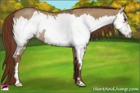 Horse Color:Red Dun Roan Splash Frame Rabicano