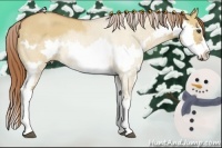 Horse Color:Red Dun Roan Splash Frame Rabicano 
