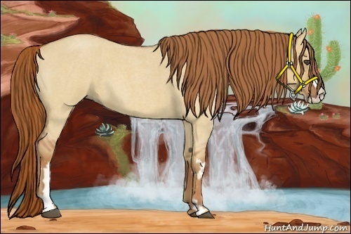 Horse Color:Red Dun Roan Splash Frame Rabicano 