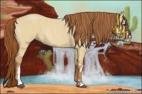 Horse Color:Red Dun Roan Splash Frame Rabicano 