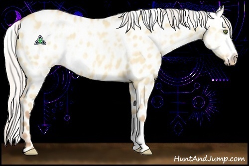 Horse Color:Silver Sable Champagne Ice Dun Blanket 
