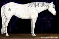 Horse Color:Silver Sable Champagne Ice Dun Blanket 