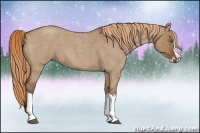 Horse Color:Red Dun Roan Splash Frame Rabicano
