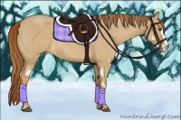 Horse Color:Red Dun Roan Splash Frame Rabicano 