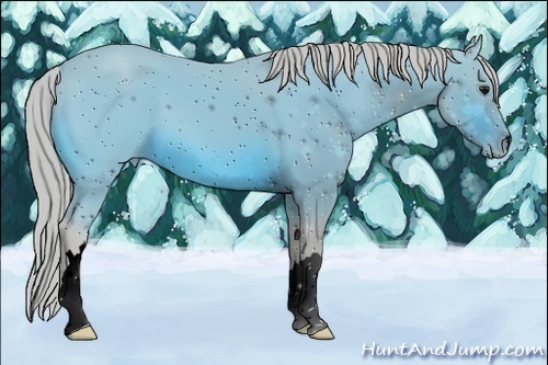 Horse Color:ERROR: UNKNOWN ANOMALY