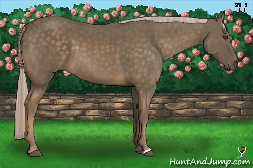 Horse Color:Chocolate Palomino 