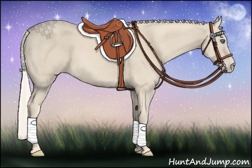 Horse Color:Cremello