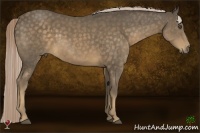 Horse Color:Chocolate Palomino 