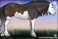 Horse Color:Brown Splash 