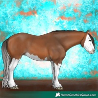 Horse Color:Brown Splash