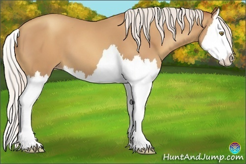 Horse Color:Silver Sable Champagne Splash 