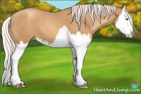 Horse Color:Silver Sable Champagne Splash 