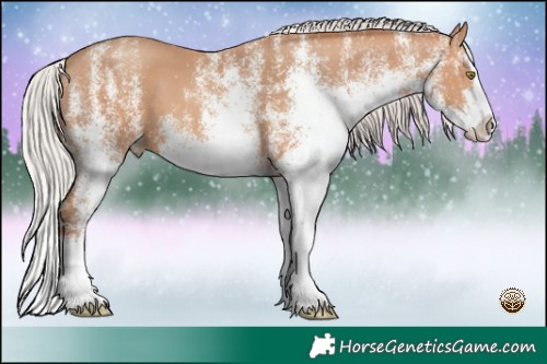 Horse Color:White Spotted Silver Amber Champagne Splash 
