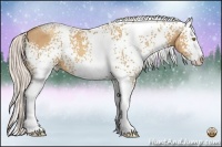 Horse Color:White Spotted Silver Amber Champagne Splash