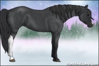Horse Color:Blue Roan 