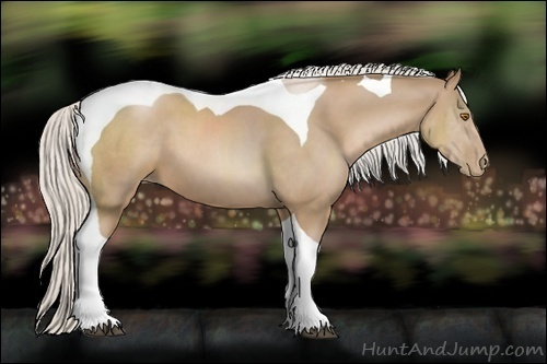 Horse Color:Silver Black Pearl Sabino Tobiano