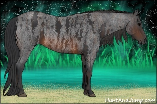 Horse Color:Brown Roan Rabicano  Brindle