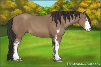 Horse Color:Sable Champagne Sabino 