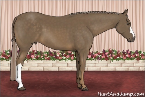 Horse Color:Chocolate Palomino 
