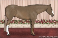 Horse Color:Chocolate Palomino 