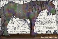 Horse Color:Nacre Black 