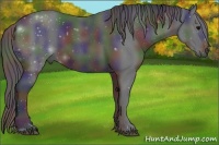 Horse Color:Nacre Black