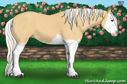 Horse Color:Palomino Splash 