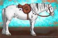 Horse Color:Black Sabino