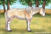 Horse Color:Silver Bay Onyx Sabino Tobiano Frame Rabicano