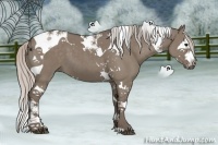 Horse Color:Silver Grullo Splash Tobiano 