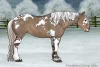 Horse Color:Silver Grullo Splash Tobiano 