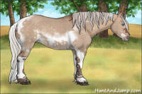 Horse Color:Silver Bay Dun Sabino Tobiano Frame Rabicano