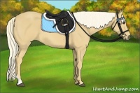 Horse Color:Palomino Tobiano 