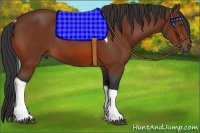 Horse Color:Bay Tobiano
