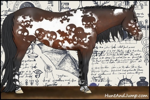 Horse Color:Bay Frame 