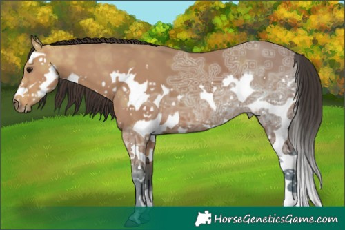 Horse Color:Bay Ice Splash 