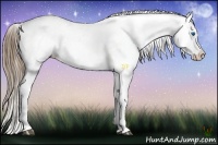 Horse Color:Liver Chestnut Splash Snowcap 