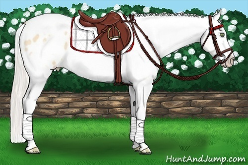 Horse Color:Silver Amber Champagne Roan Dun Splash Tobiano Frame Blanket Rabicano