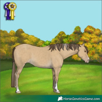 Horse Color:Classic Cream Champagne Dun Sabino 