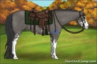 Horse Color:Grullo Sabino 