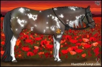 Horse Color:White Spotted Bay Tobiano 